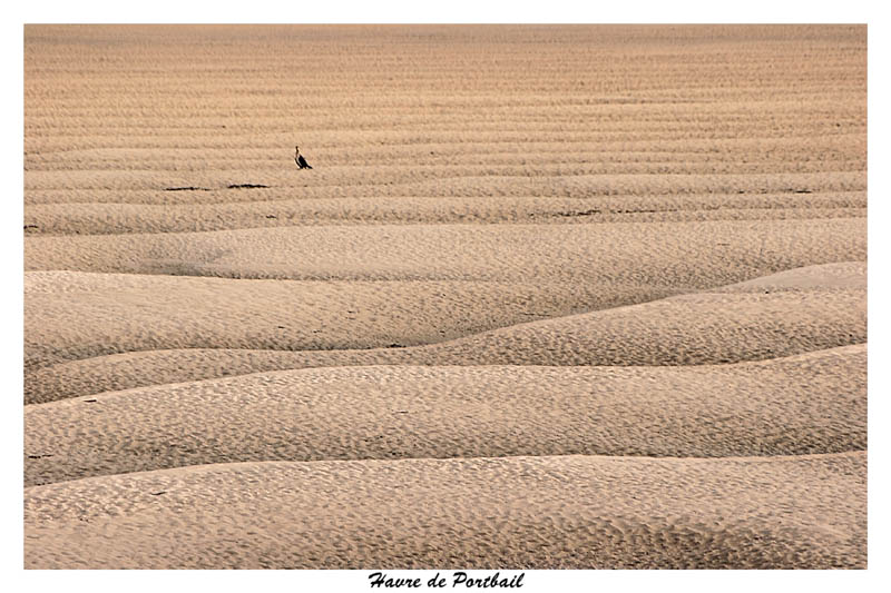 Mer de sable 