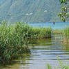 small lac du Bourget 8